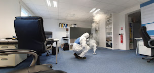 Photo n°7 de AS DE PIC à Beaumont-en-Véron (Entretien de propriétés)