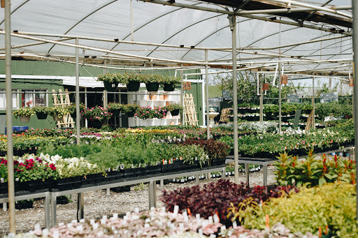Banting's Nursery - Thumbnail