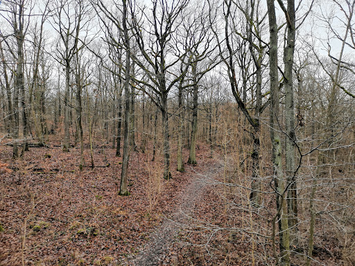 Teufelshäuschen - Visual