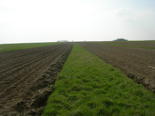 Photo n°2 de Osier de Thiérache à Brunehamel (Ferme bio)