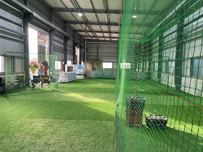 TYベースボールアカデミー