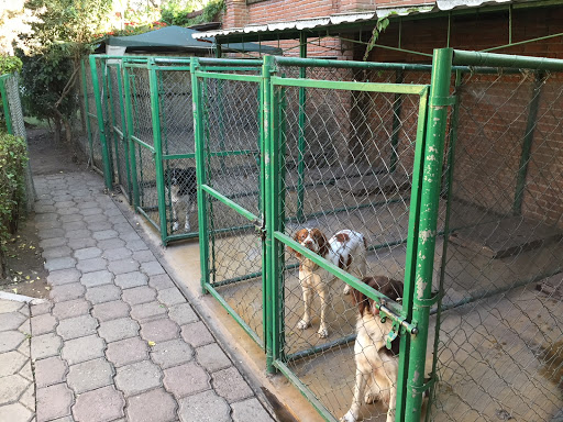 Clínica Veterinaria Dr Jose Hector Pelaez