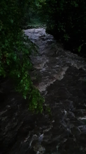 Коментари и отзиви за Къмпинг Воденицата