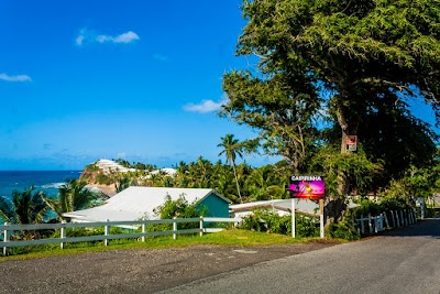 Photos of Boxer Shack