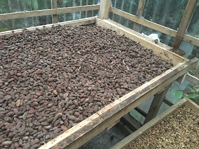 Photos of Don Olivo Chocolate Tour