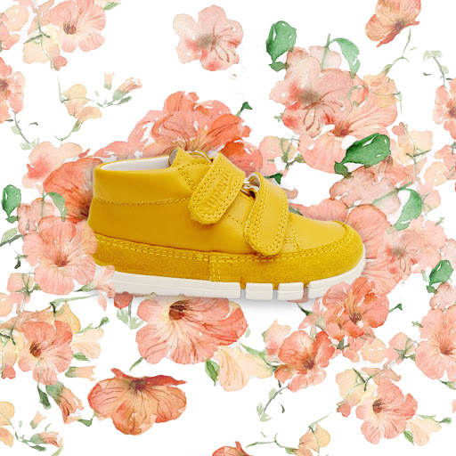 Schuh Wolf - Visual