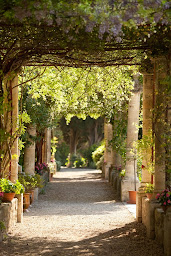 Photo n°8 de Abbaye Saint-André à Villeneuve-lès-Avignon (Attraction touristique)