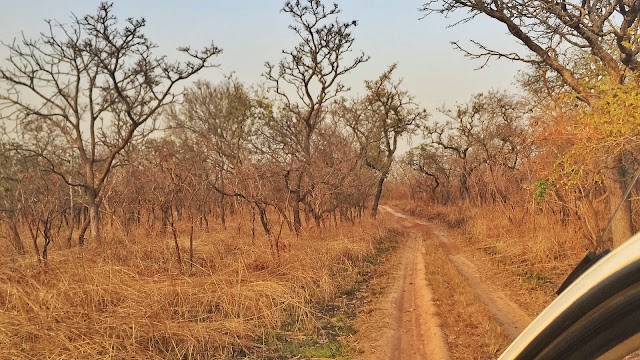 Comoé National Park