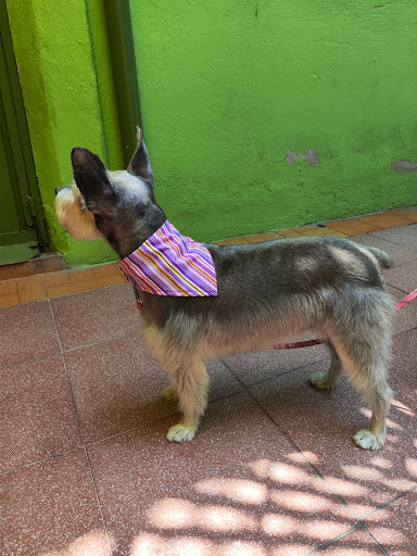 Consultorio Veterinario La Perla