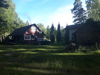 Photos of Voosemetsa Ltd.