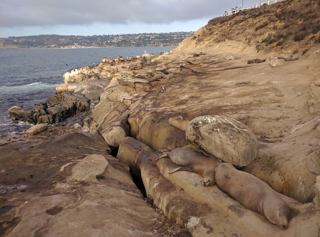 La Jolla Cove