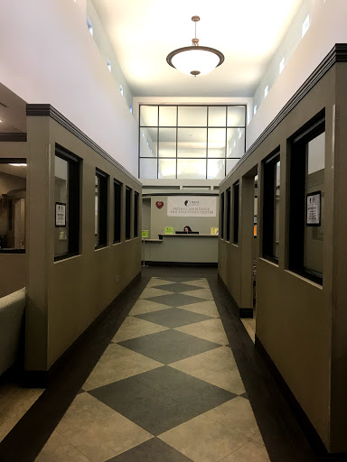 THE B.A.C.K. CENTER - Visual