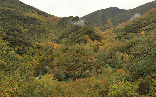 Meandro do Río Selmo - Visual