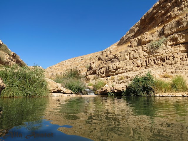 Ein Prat Nature Reserve