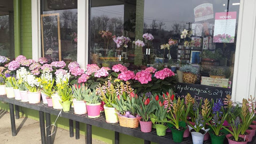 Laura's Floral Boutique - Thumbnail
