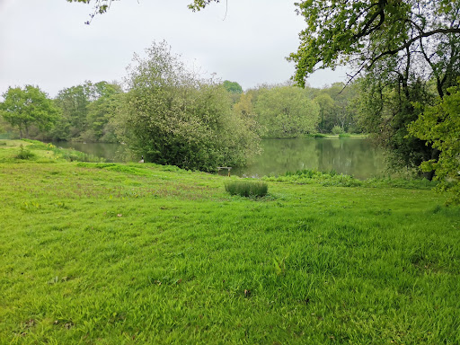 Bembridge Trail - Visual