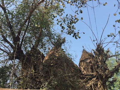 Photos of Shashid Bazar Maa Kali Mandir