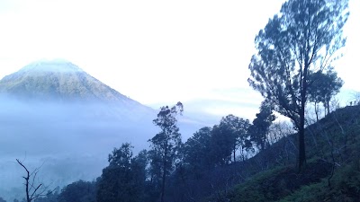 Photos of Mount Ijen Tours