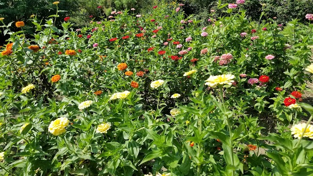 Washington Irving's Sunnyside