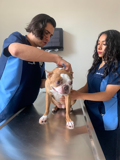 Hospital Veterinario WestCare Condesa