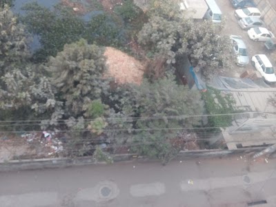 Photos of Numa Garden
