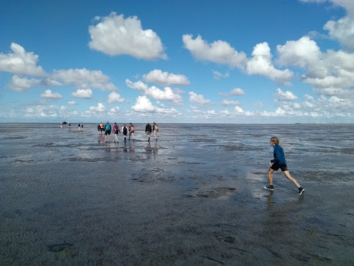 Wadgids.nl - Visual