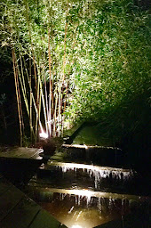 Photo n°17 de Mes Conseils Jardin - Claude Chevalier à Saint-Martin-du-Fouilloux (Coach particulier)