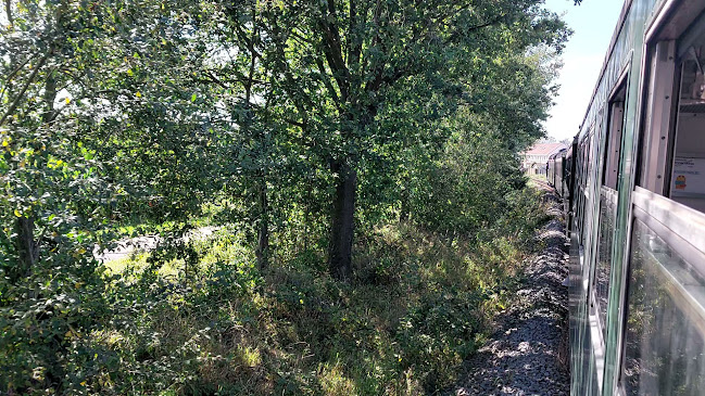 Reacties en beoordelingen van Stoomtrein Dendermonde-Puurs