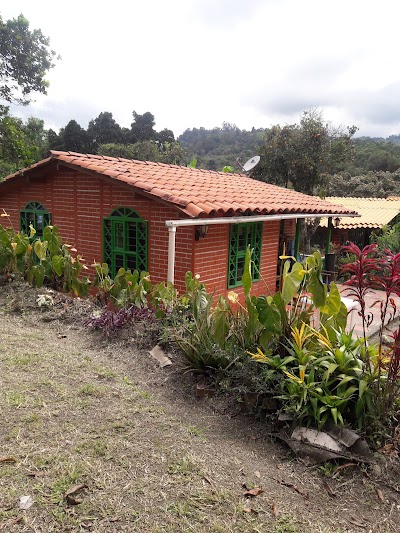 Photos of La casa del &Aacute;rbol