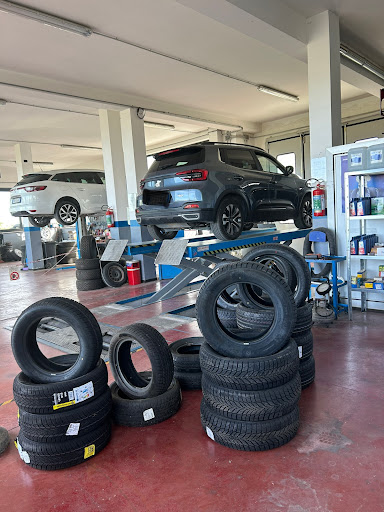 Bozzelli Auto - Visual