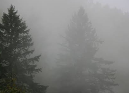 Rancho El Rodeo - Thumbnail