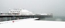 Coole Bevis Law (Solicitors Brighton) brighton