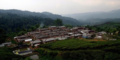 Photos of Wisata Halimun