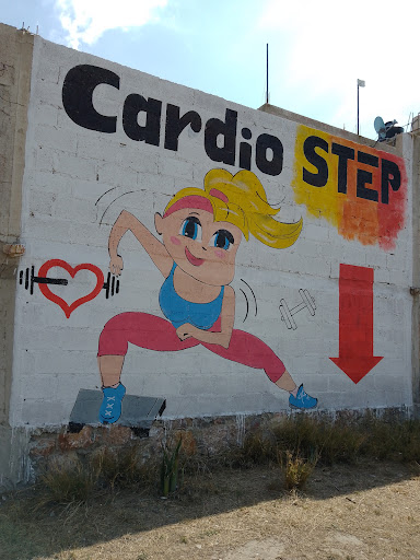 Step cardio - Visual