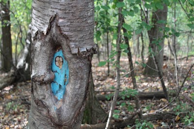 Tinker Nature Park/Hansen Nature Center