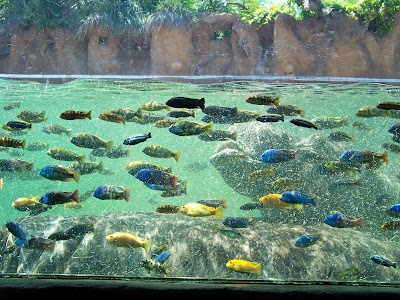 Photos of San Antonio Zoo