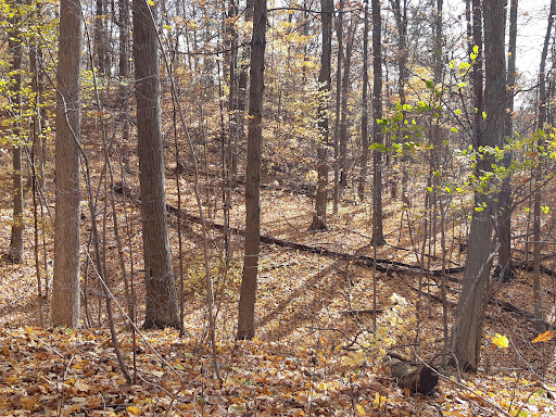Dryden Tract - Thumbnail