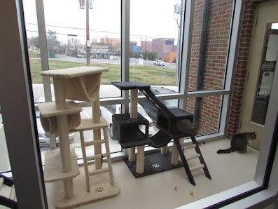Photo of Arlington Heights Animal Hospital Del propietario