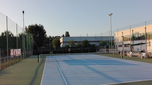 Lemon's Tennis Team - Thumbnail