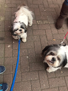 Fetch Fulham by null