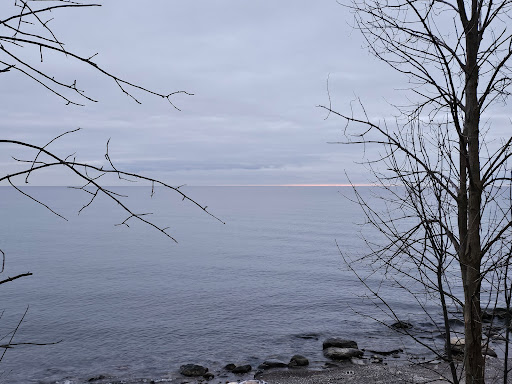 Pickering Beach - Visual