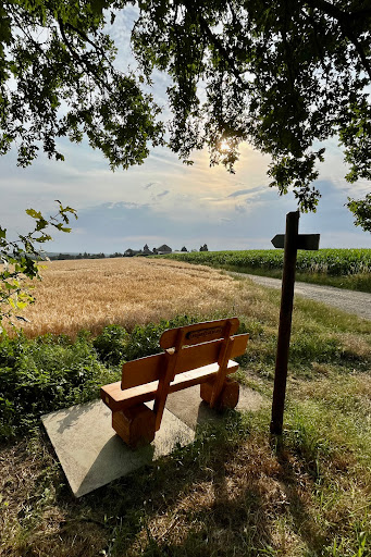 Triebestalblick - Visual