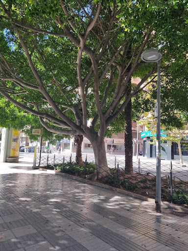 Avenida de Óscar Espla