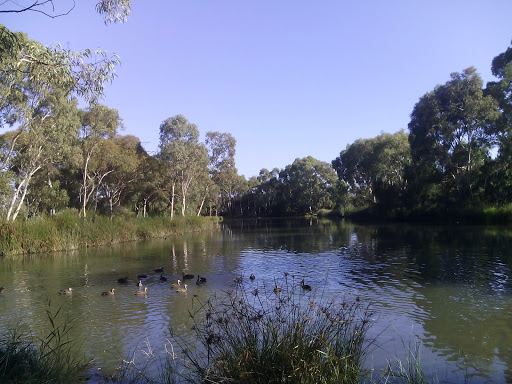 Strowan Park - Thumbnail
