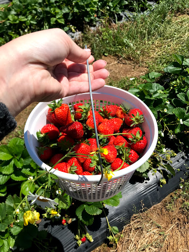 Hyde Farms - Thumbnail
