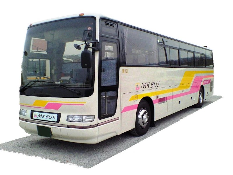 太陽観光インターナショナル