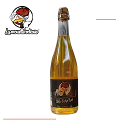 Photo n°5 de la mouette roteuse à Saint-Martin-des-Champs (Brasserie)