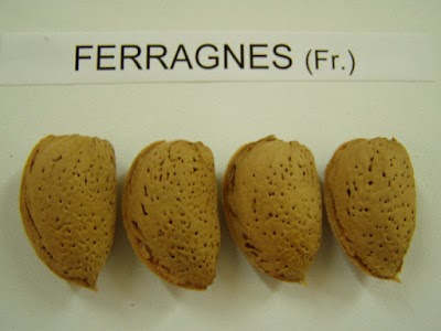 Photos of CERAN TARIM