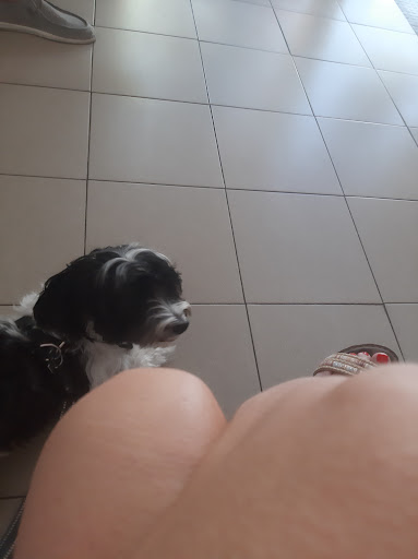 Clínica Veterinaria Dehesa De La Villa - Thumbnail