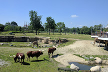 Toledo Zoo, Toledo, United States